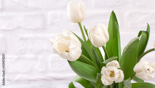Wallpaper Mural Fresh white tulip flowers bouquet in front of white brick wall. Torontodigital.ca