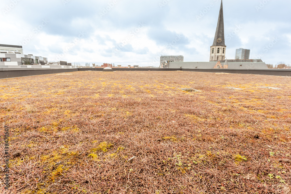 roof with green roof with green