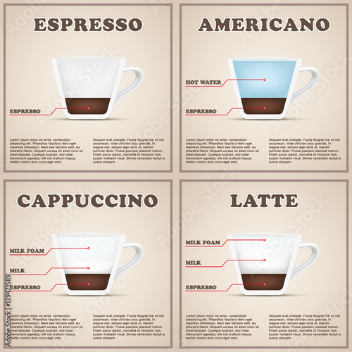 Coffee information background menu with cup cutaway. Infographic of beverages types and preparation. Editable vector illustration.