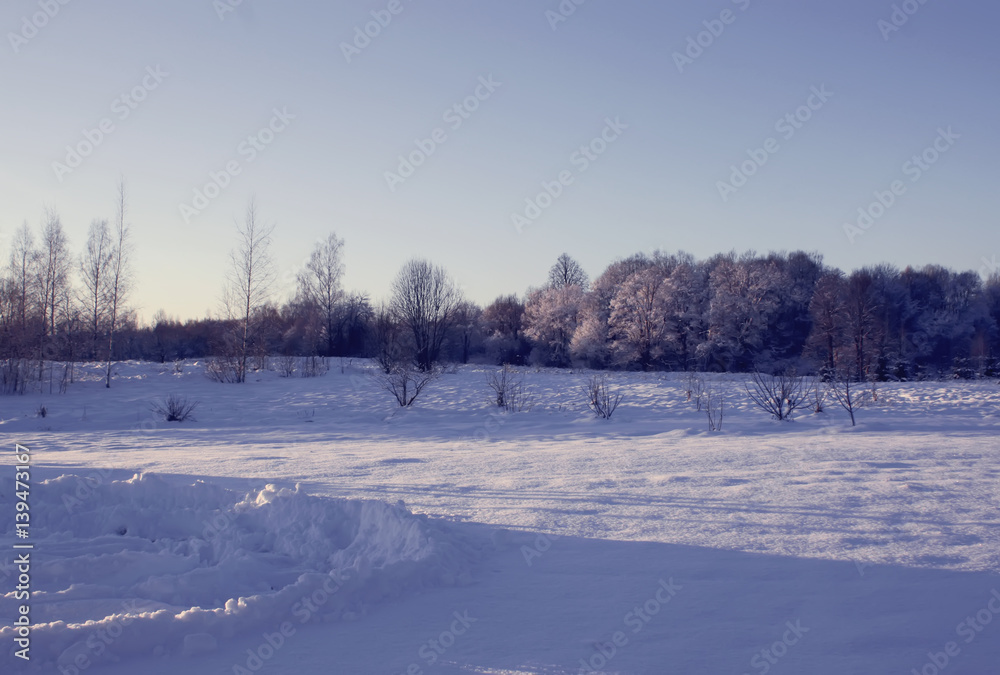 Winter landscape in a countryside. Winter landscape in a countryside.