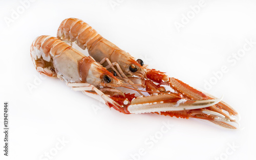 Photography Cooked crawfish on white background