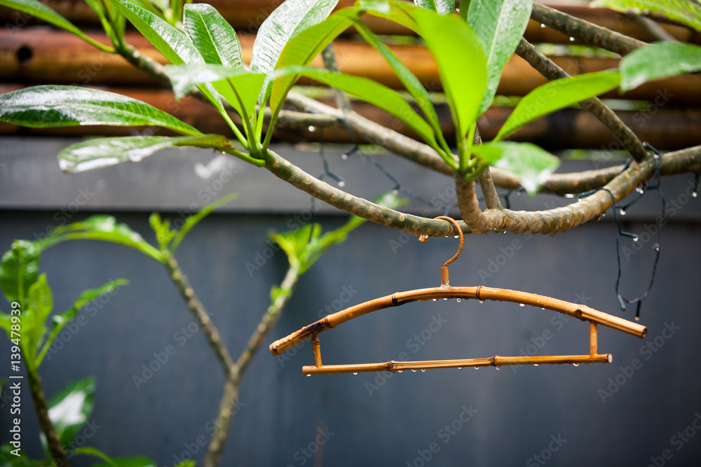 Bamboo clothes hanger on the tree after rain