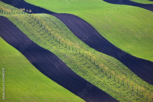 Wavy green fields in South ...
