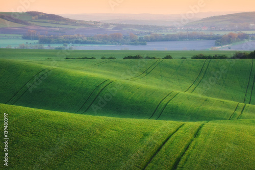 Wavy green fields in South ...