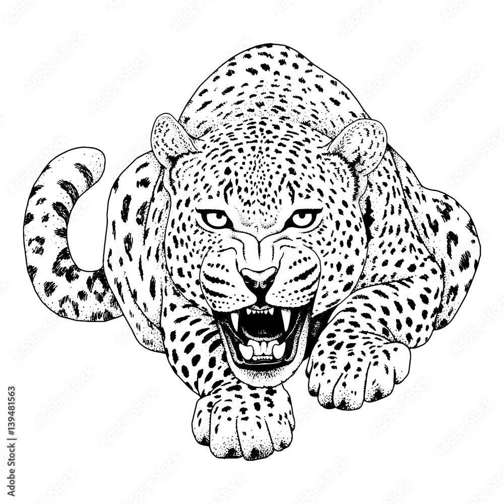 Leopard face tattoo ,Vector illustration, print Векторный объект Stock |  Adobe Stock