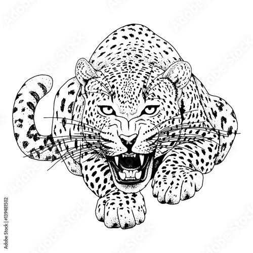 Leopard face tattoo ,Vector illustration, print