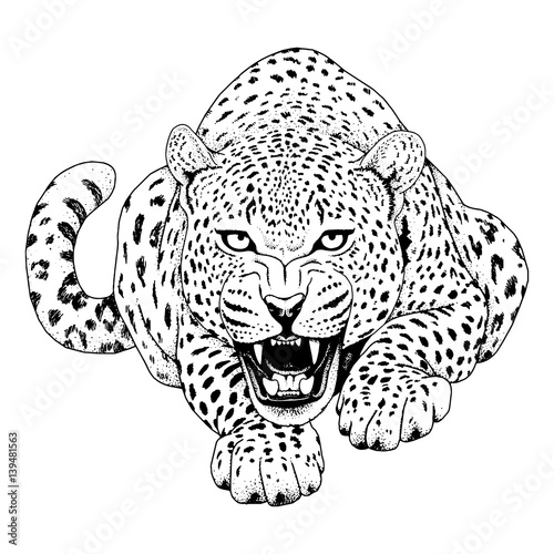 Leopard face tattoo ,Vector illustration, print