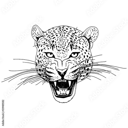 Leopard face tattoo ,Vector illustration, print