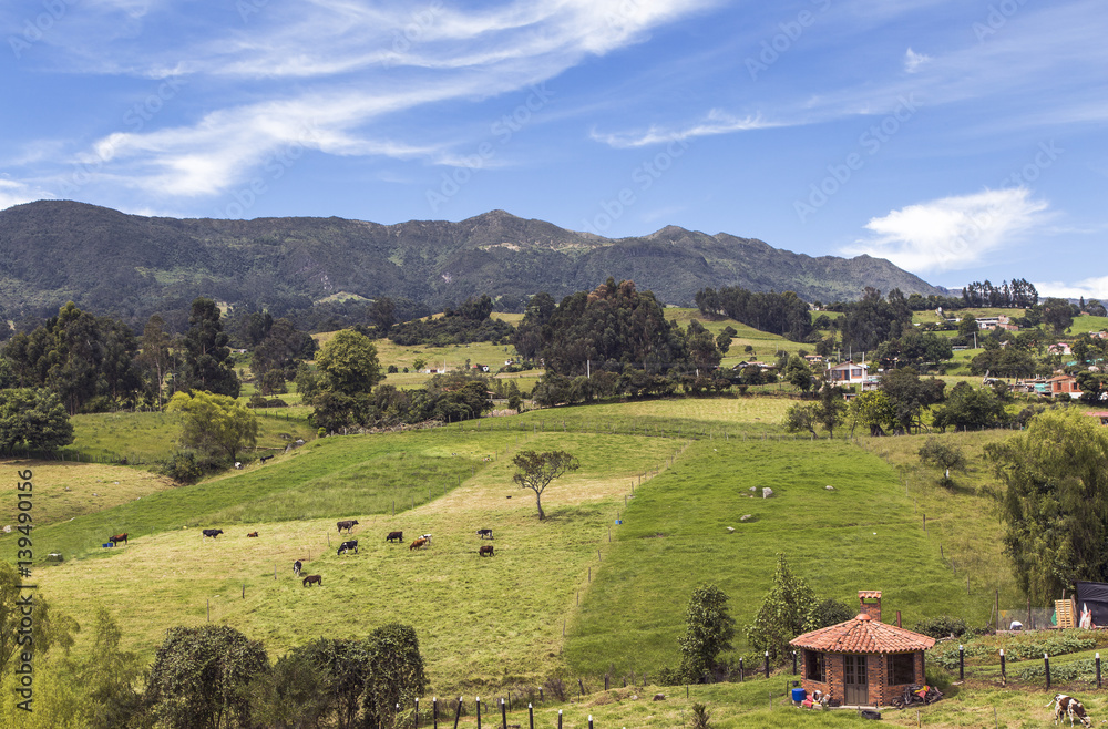 paisaje del campo colombiano y sus montañas