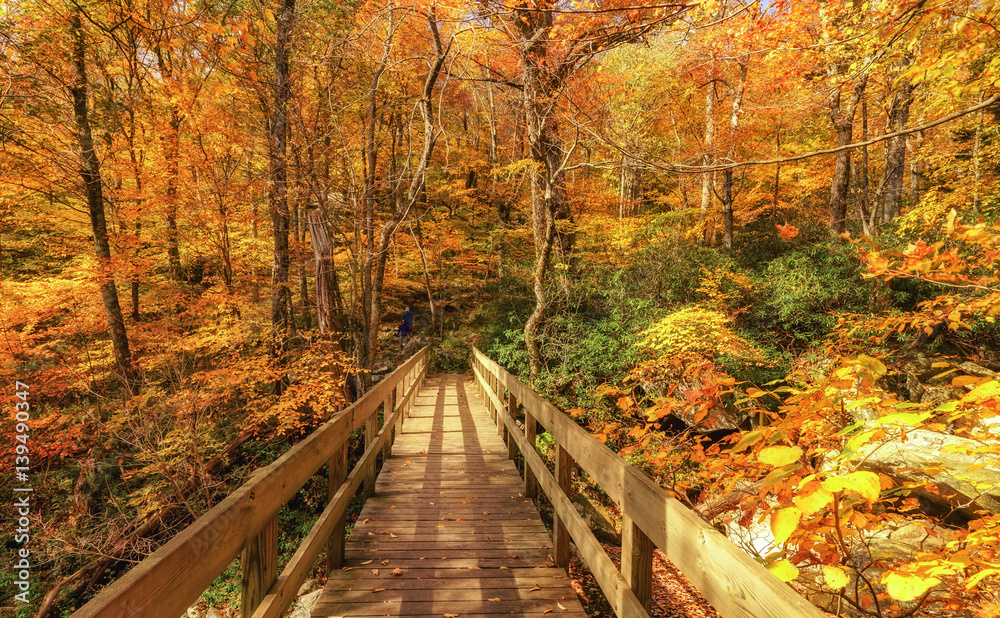 Tanawha Trail bridge off the Blue Ridge Parkway