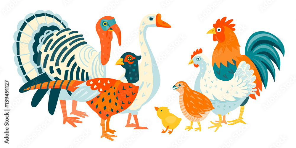 Naklejka Group of domestic funny birds vector illustration cartoon style