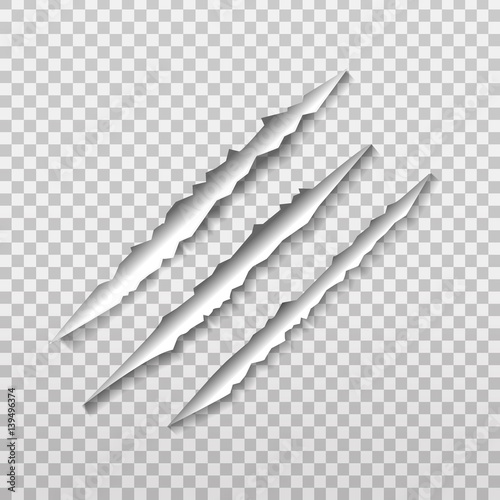 Vector claw scratch on the transparent background. photo
