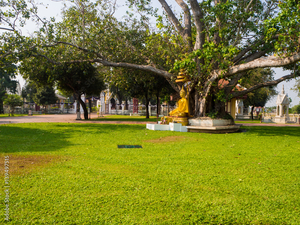 Fototapeta premium Wat Niwet Thammaprawat (Gothic style) Ayutthaya,Thailand