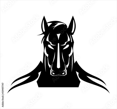 Horse. Black stallion.