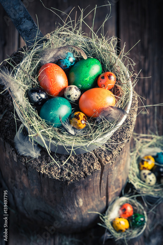 Ecological Easter eggs in wooden small henhouse
