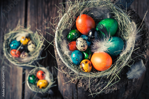 Ecological eggs for Easter in the nest with hay