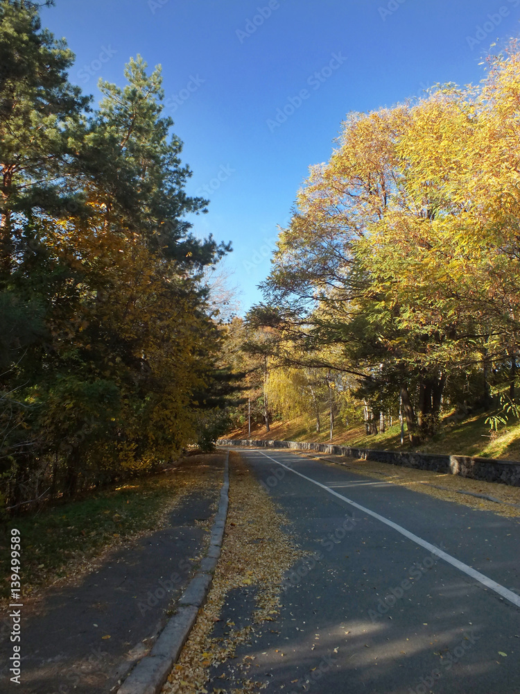 Fototapeta premium Autumn landscape