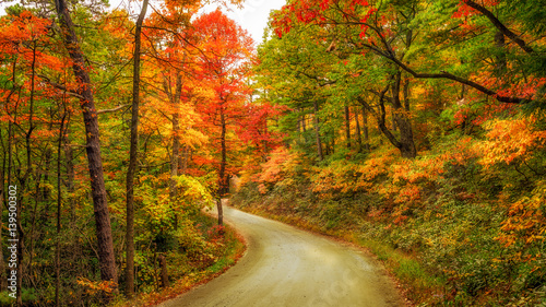 Kistler dirt road in the Linville Wilderness Gorge during Autumn