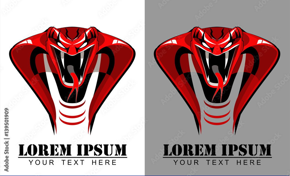 Fototapeta premium cobra, red cobra, angry cobra