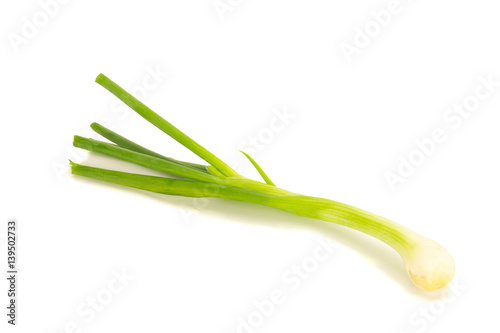 spring onion isolated on the white background