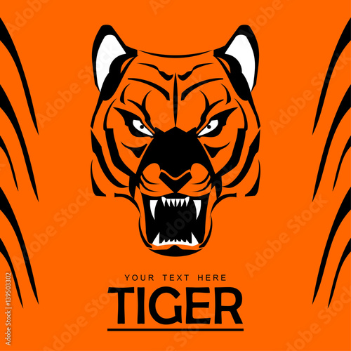 Fototapeta Naklejka Na Ścianę i Meble -  tiger, tiger head