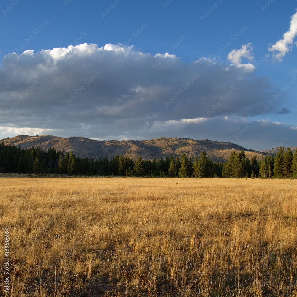 Obraz premium Evening glow on field and mountain