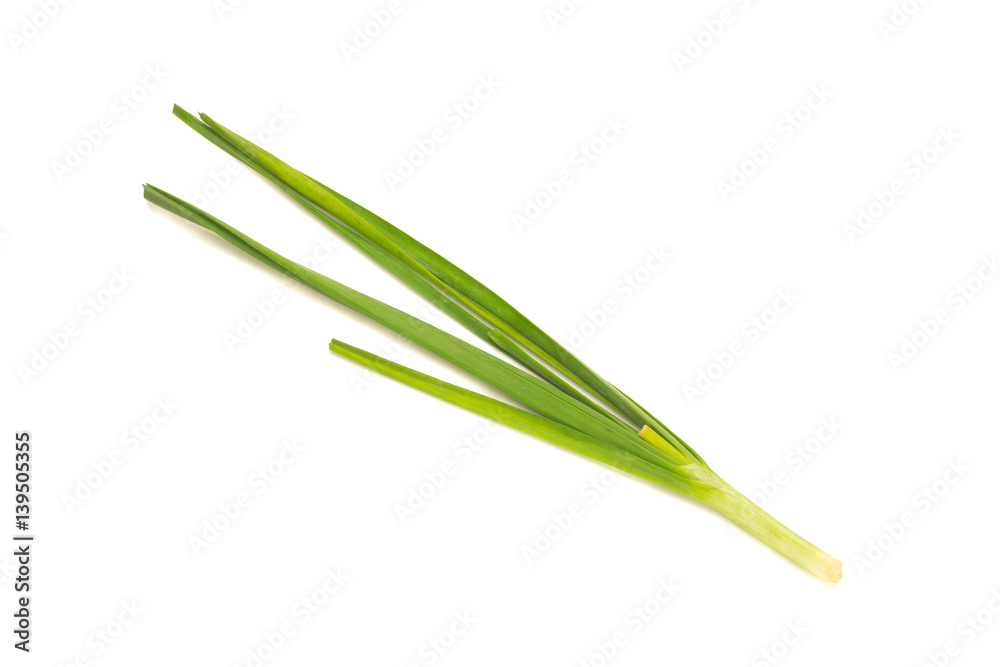 Asian chives (leek) isolated on white background Asian chives (leek) isolated on white background