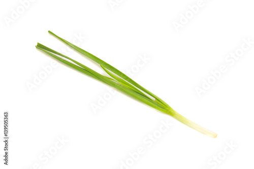 Asian chives (leek) isolated on white background