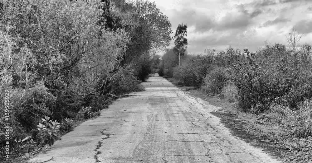 Black and white of old road