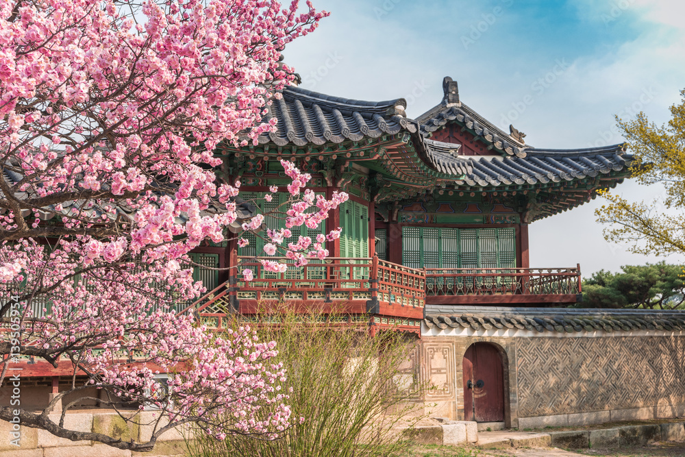 Obraz premium Spring Cherry Blossom w Changdeokgung Palace, Seul, Korea Południowa