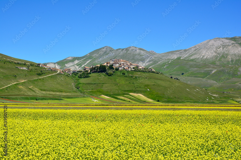 panorama plateau Castelluccio di norcia Umbria italy