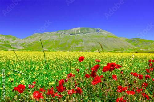 panorama plateau Castelluccio di norcia Umbria italy photo