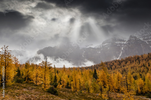 Larch Valley in the Canadian Rockies