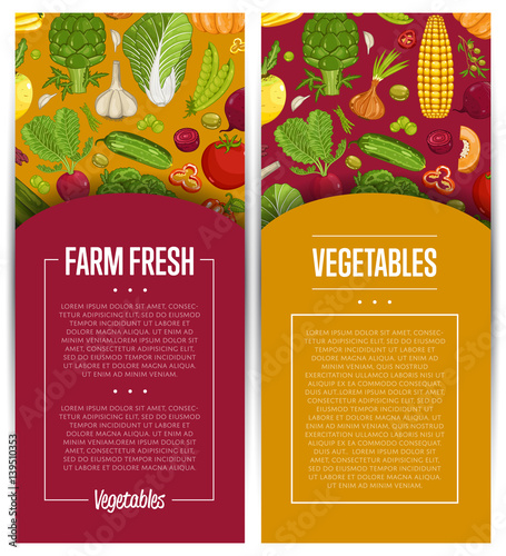 Fresh vegetable farming flyers set vector illustration. Locally grown vegetable, vegan retail, natural product. Healthy farm food advertising with pumpkin, beans, onion, peas, tomato, radish, carrot