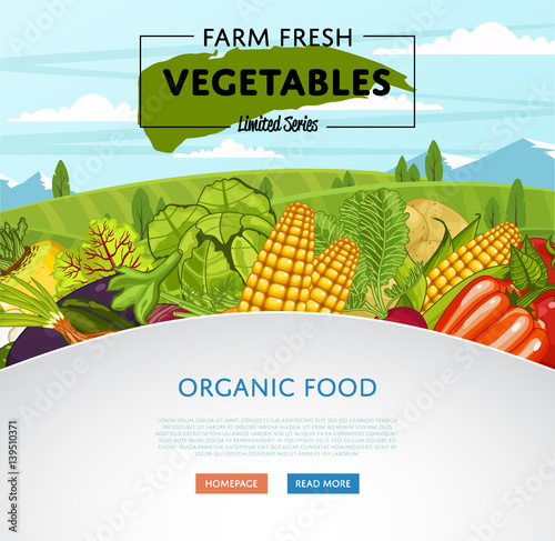 Farm fresh vegetable banner with rural landscape vector illustration. Natural growing, agriculture farming, organic food, vegan product poster. Tomato, onion, cabbage, pepper, corn, onion, potato