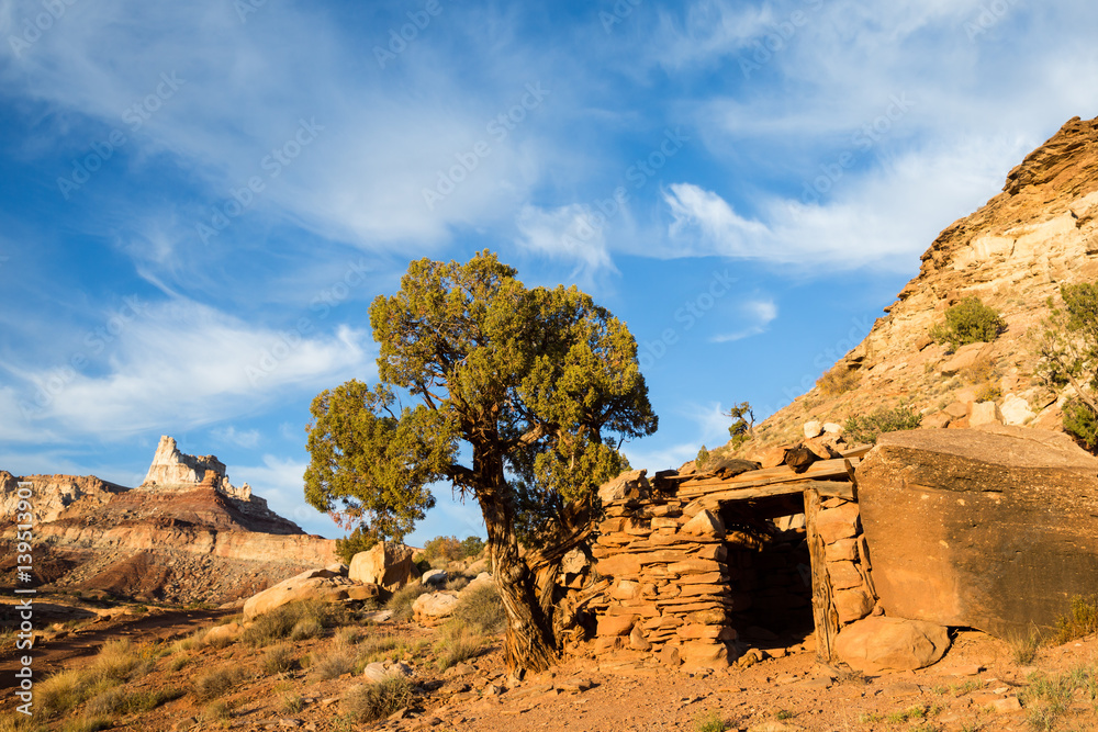 Εκτύπωση καμβά Small building and juniper tree below Temple Mountain.