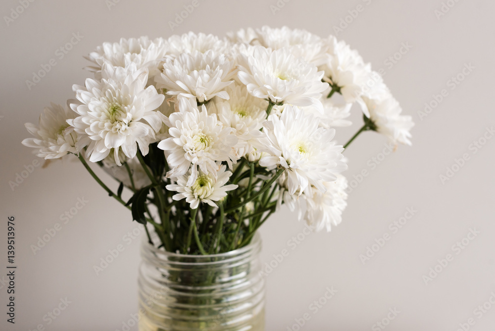 custom made wallpaper toronto digitalClose up of white chrysanthemums in glass jar against neutral background (selective focus)