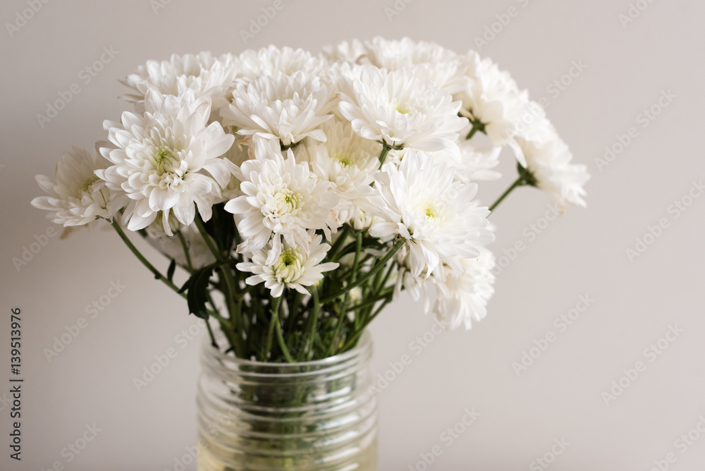 Close up of white chrysanthemums in glass jar against neutral background (selective focus)
