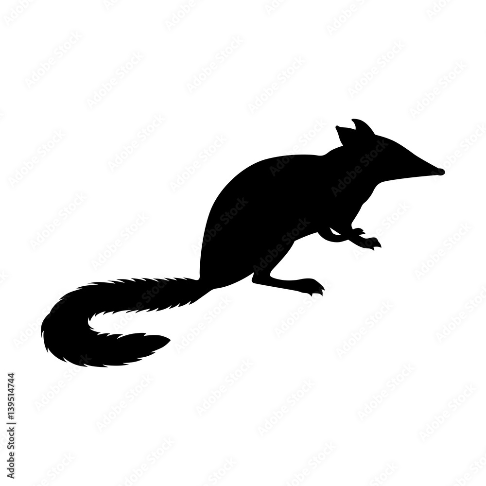Numbat, shade picture Numbat, shade picture