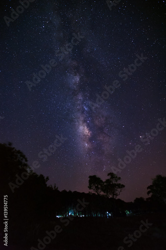 Milky way galaxy and silhouette of tree at Phu Hin Rong Kla National Park,Phitsanulok Thailand, Long exposure photograph, with grain
