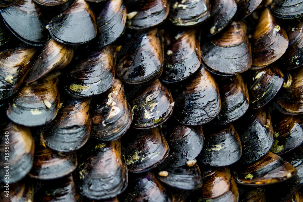 Turkish Street Food Stuffed Mussels / Midye Dolma