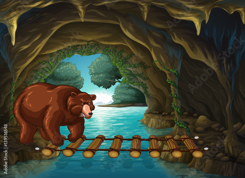 Grizzly bear in the cave