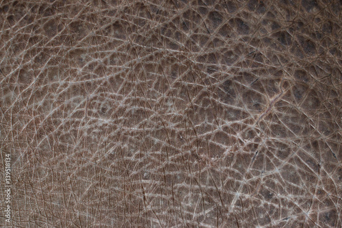 hippo skin as background