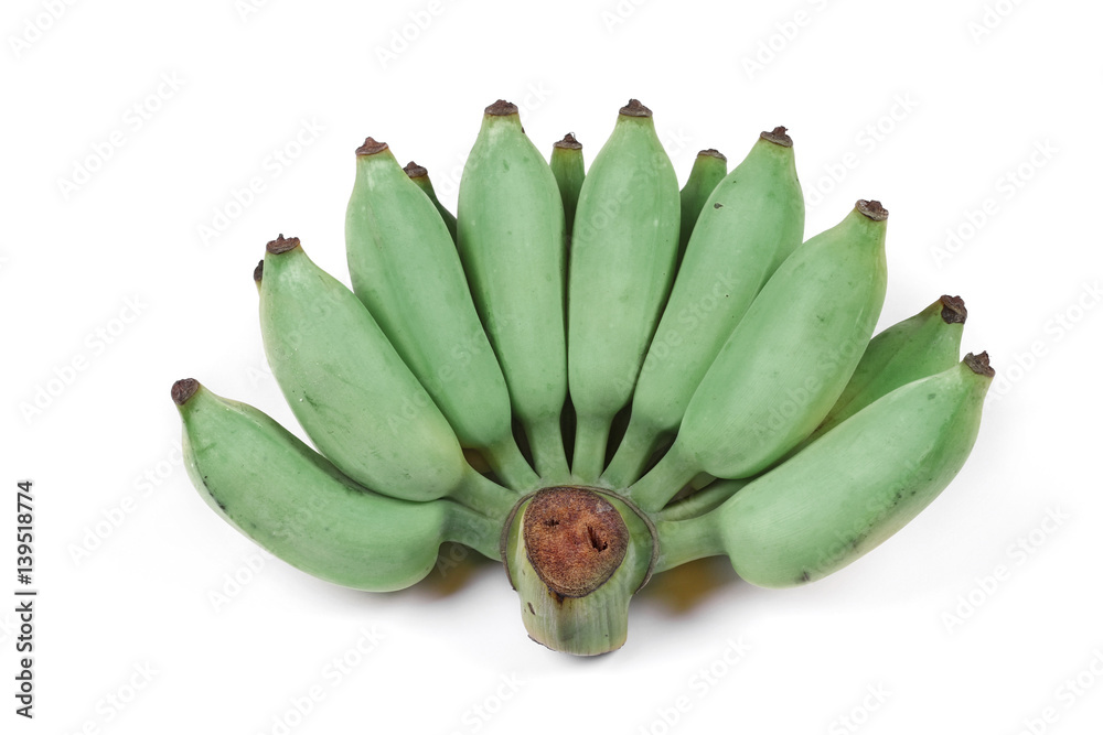 Green cultivated banana, Raw cultivated banana .