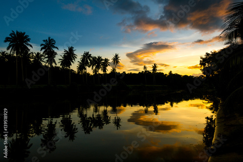 Island sunset with coconut tree reflections and silhouettes © nathanallen