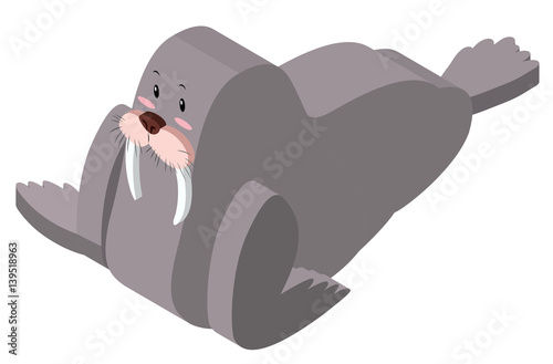 3D design for walrus character