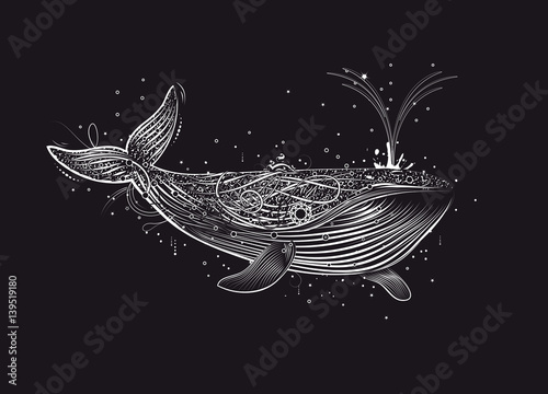 Ein weißer Wal im Ozean. Handgezeichneter Wal aus feinen weißen Linien und Ornamenten. Wal mit Fontäne.