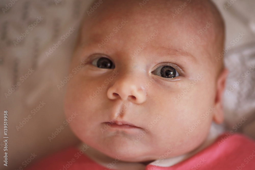 portrait of a beautiful child of the European appearance portrait of a beautiful child of the European appearance