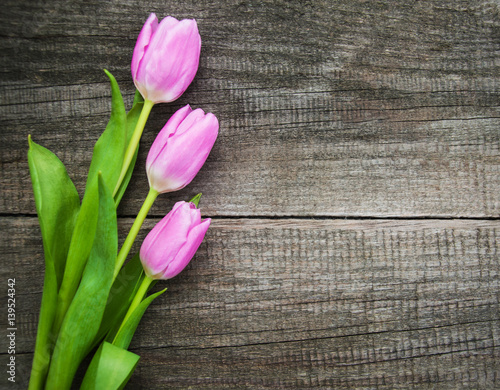Fototapeta Naklejka Na Ścianę i Meble -  Spring tulips flowers