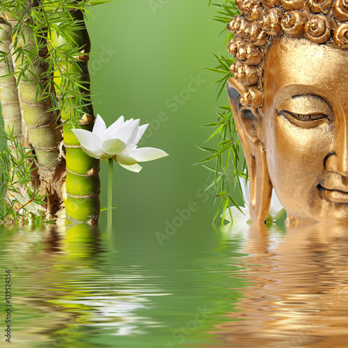 Fototapeta Naklejka Na Ścianę i Meble -  bouddha, bambous à noeud et lotus